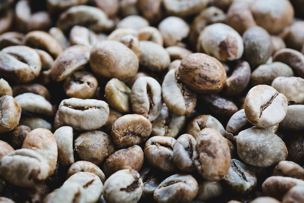 Grüner Kaffee & seine Wirkung für die Haut: 11 Gründe warum Kaffee gut für dich ist
